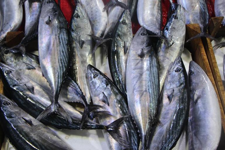 Deniz ürünlerinde cıva tehlikesi... Vedat Milor: Midye yemek, pil yemek gibidir