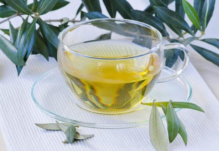 Zeytin yaprağındaki Oleorupin maddesi nedir, etkileri neler, virüse karşı koruyor mu Zeytin yaprağı çayı nasıl demlenir