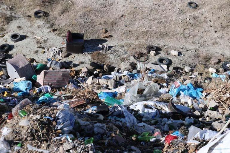Nevşehirde ayakları bağlı ölü bulunan 10 köpeğin zehirlendiği ortaya çıktı