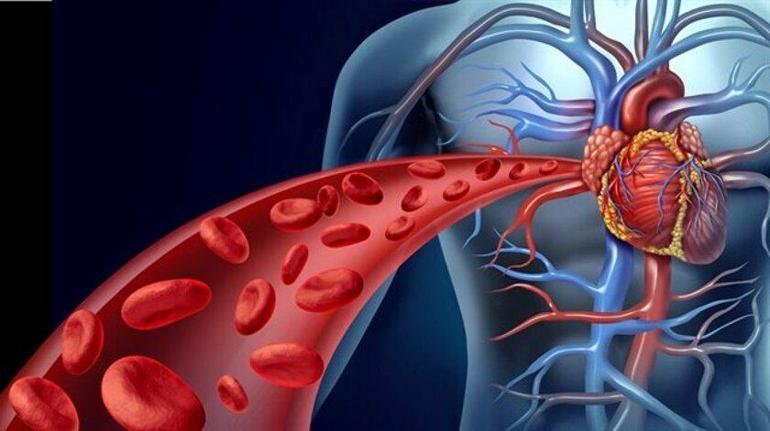 Aort damarı yırtılması nedir, neden olur, belirtileri neler