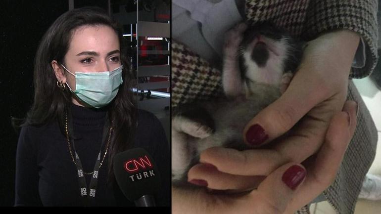 CNN TÜRKte kedi operasyonu