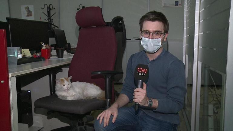CNN TÜRKte kedi operasyonu