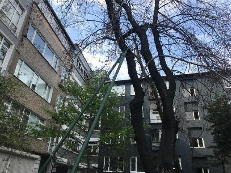 134 yıllık erguvan ağacını kesilmekten mahalle sakinleri kurtardı