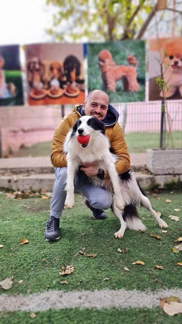 Köpek eğitimi ile ilgili doğru bilinen yanlışlar