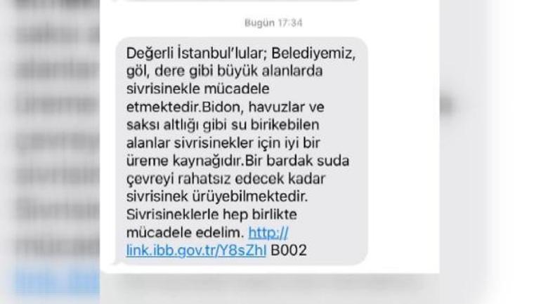 İstanbulda sivrisinek kabusu büyüyor; İBB SMS ile uyardı