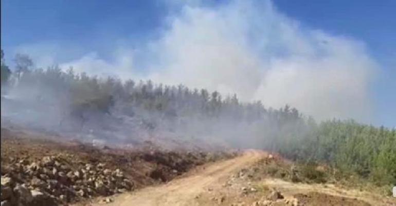 Bakan Pakdemirli: 3 ilde orman yangınlarına müdahale ediliyor