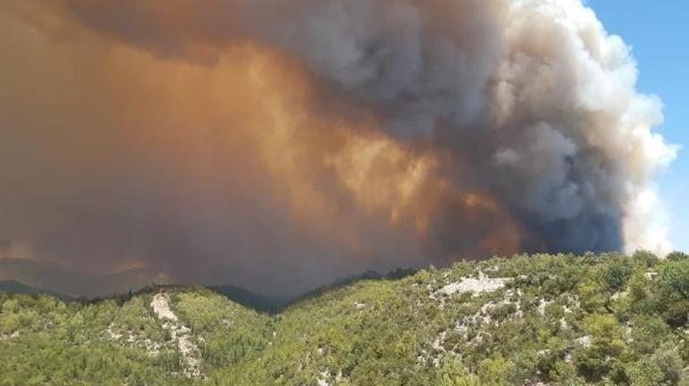 SON DAKİKA: Manavgatta orman yangını... Yerleşim yerlerine ulaştı