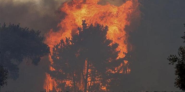 SON DAKİKA: Manavgatta orman yangını... Yerleşim yerlerine ulaştı