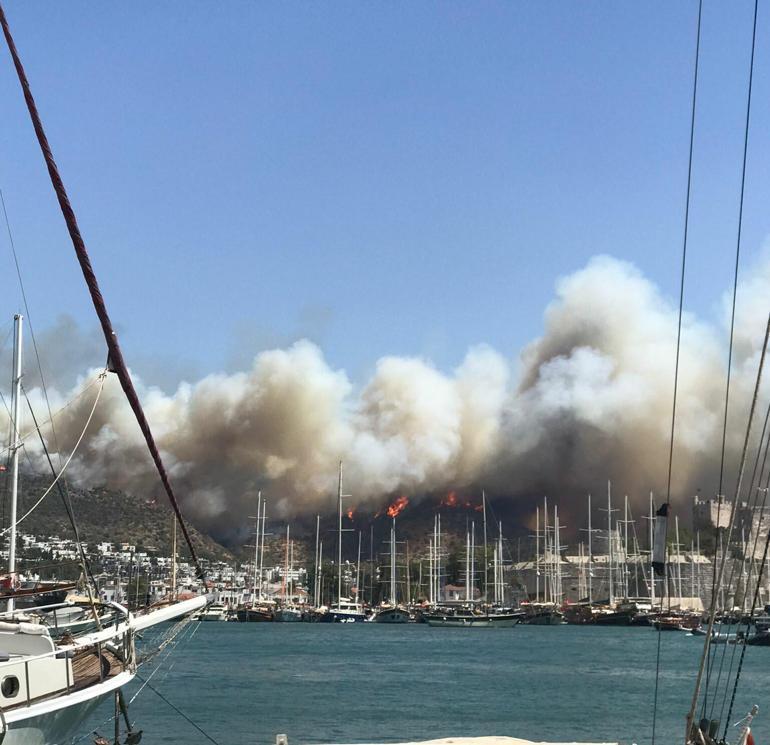 SON DAKİKA: Bodrumda yangın... Bölgedeki evler ve oteller boşaltılıyor