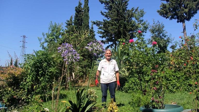 Orman Dededen yanan ormanlar için seferberlik çağrısı