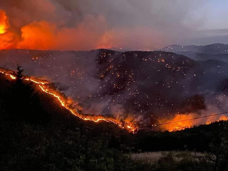 Orman yangınları hangi illerde çıktı Yangın çıkan şehirlerde son durum: Gündoğmuş, Bodrum, Marmaris, Milas, Manavgat 4 Ağustos 2021