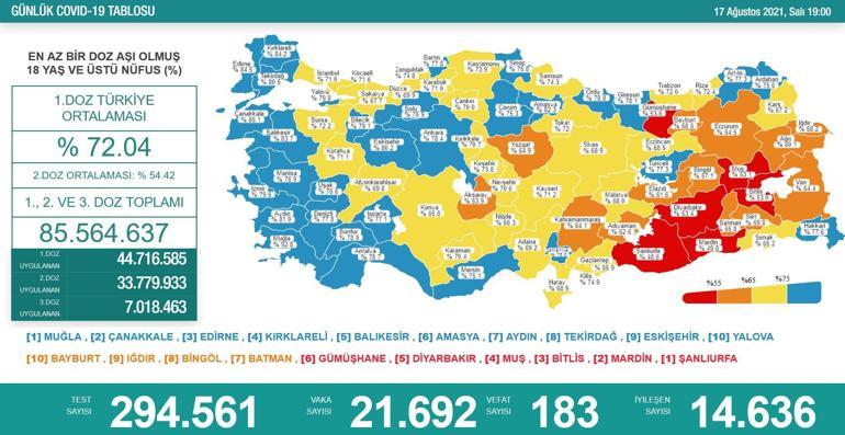 SON DAKİKA HABERİ: 17 Ağustos koronavirüs tablosu açıklandı İşte Türkiyede son durum