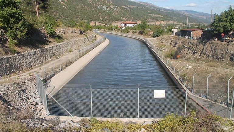 Yeşilırmak Nehrinde balık ölümleri