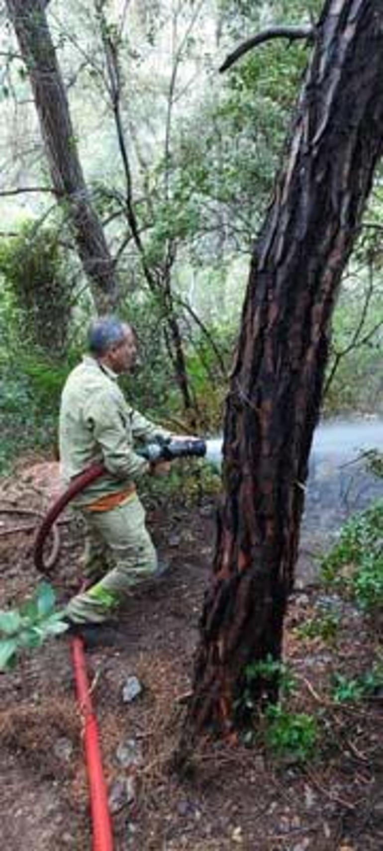 Orman yangını sonrası kolonya ve çakmakla yakalanan kişiye gözaltı