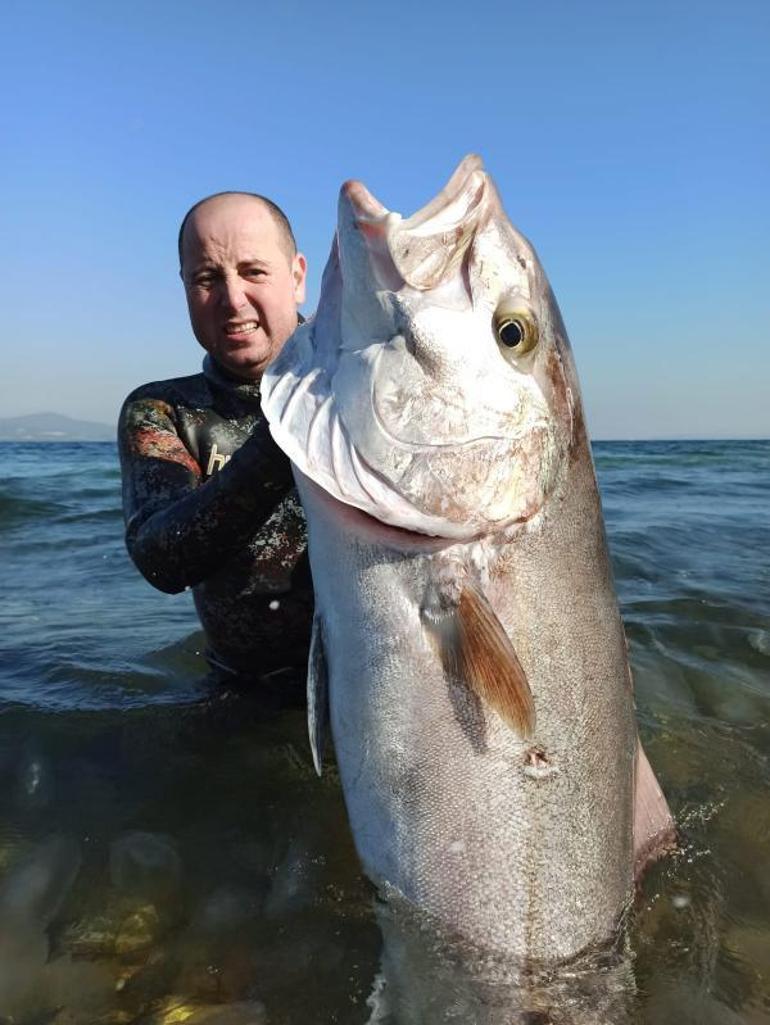 Zıpkınla 55 kiloluk akya balığı avladı