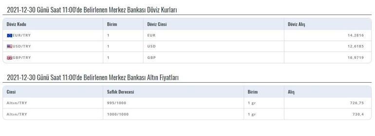 Merkez Bankası döviz alış kuru 30 Aralık 2021… TCMB euro ve dolar saat 11 alım kuru