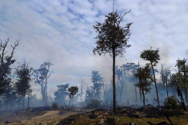 Şilideki orman yangınında bin 235 hektarlık alan kül oldu