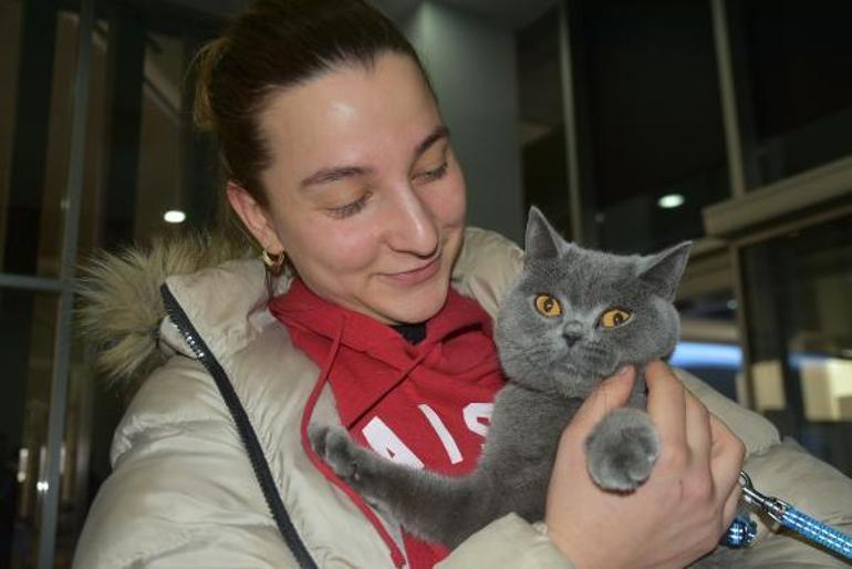 Ukraynadan tahliye edilen öğrenciler evcil hayvanlarıyla geldi