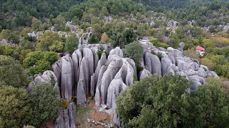 Avatar Diyarında tepki çeken görüntü: Binlerce yıllık tarihe sprey boya sıktılar