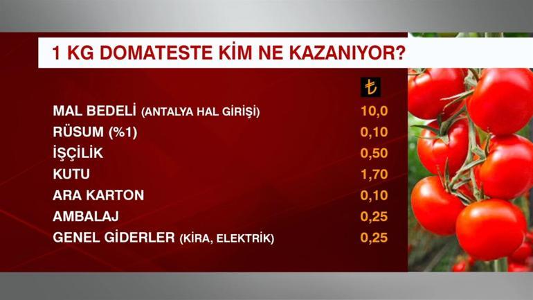 1 kg domatesten kim ne kazanıyor