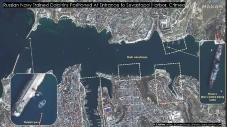 Uydu görüntüleri ortaya çıktı Rusya, deniz üssünü korumak için askeri yunusları devreye soktu