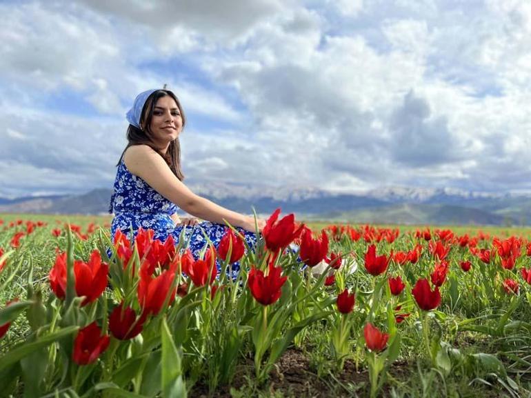 Muş lalesi, ovayı kırmızıya boyadı