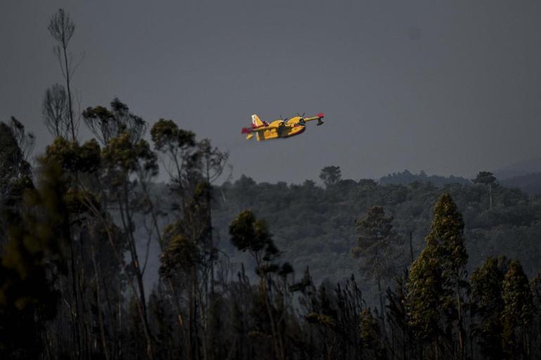 Portekiz orman yangınlarıyla mücadele ediyor: 29 yaralı