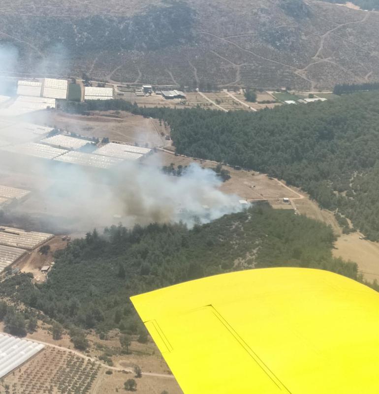 4 kentte orman yangını: Müdahale sürüyor