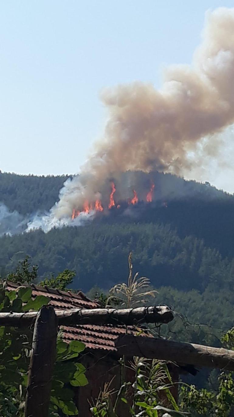 4 kentte orman yangını: Müdahale sürüyor