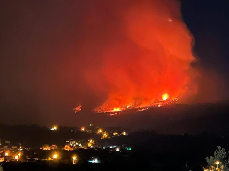 Muğla’da orman yangını kontrol altına alındı