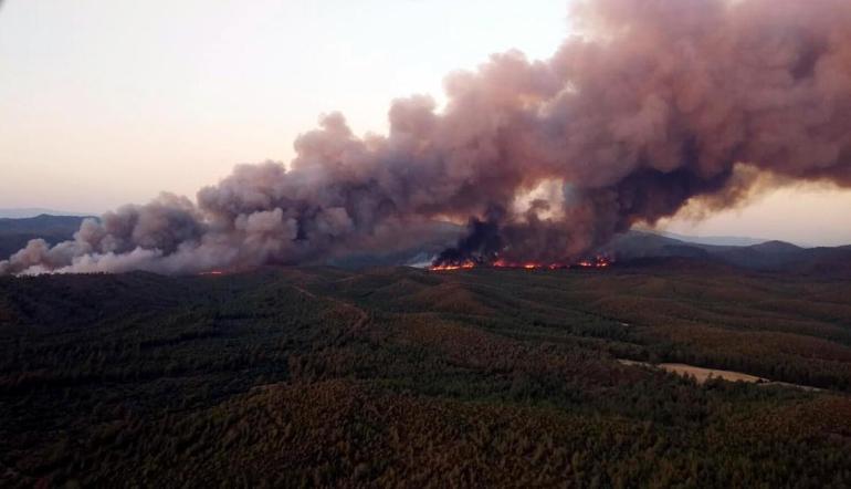 Marmariste ormanı ateşe vermişti Detaylar ortaya çıktı: Kardeşine her şeyi anlatmış