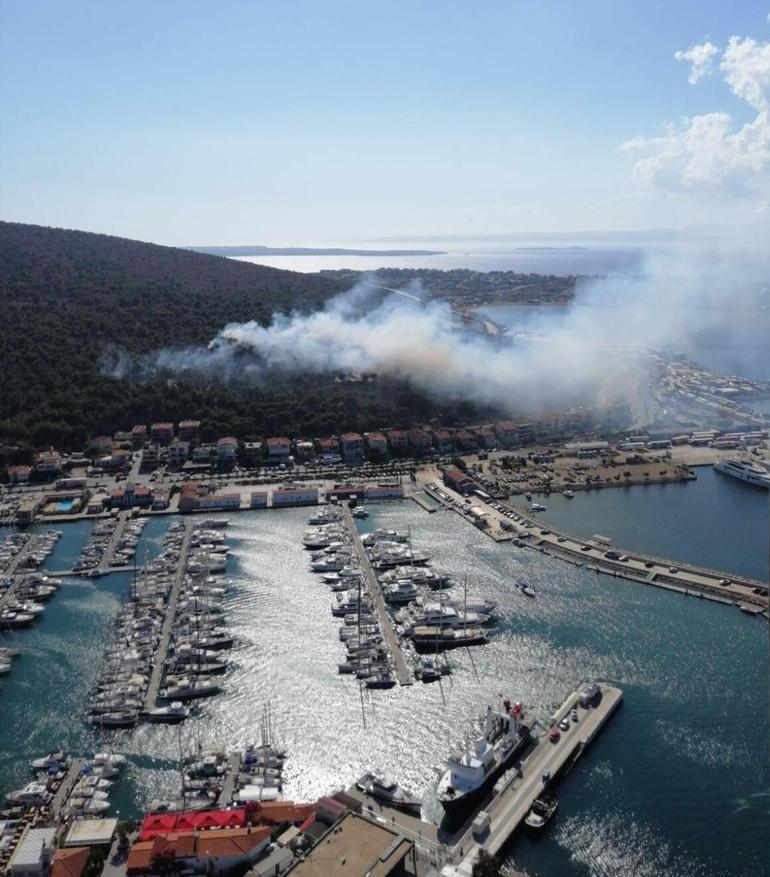 İzmir ve Tokatta orman yangınları