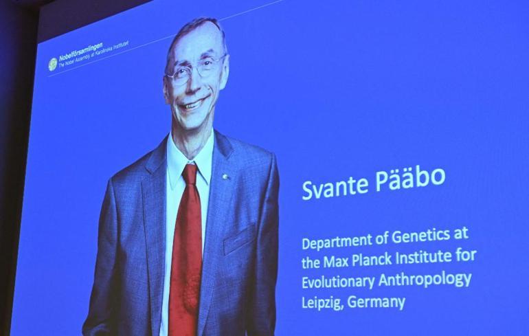 Son dakika...  2022 Nobel Tıp Ödülü, İsveçli bilim insanı Svante Paaboya verildi
