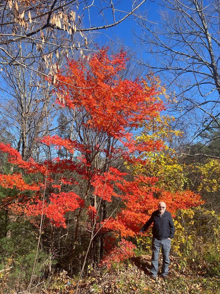 Kuzey Amerikada renkli sonbahar yaprakları