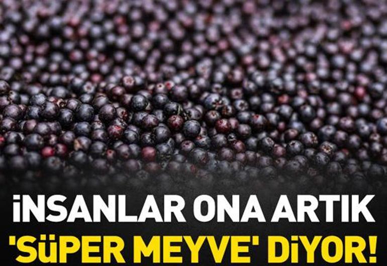 11 Kasım 2022 Cuma gününün son dakika önemli gelişmeleri (CNN TÜRK 11.30 bülteni)