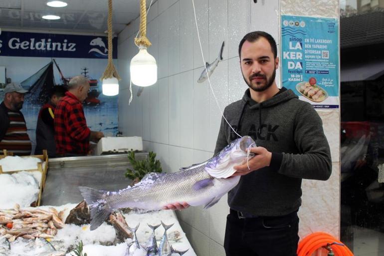 Sinop’ta avlanan dev levrek fiyatıyla göz kamaştırdı