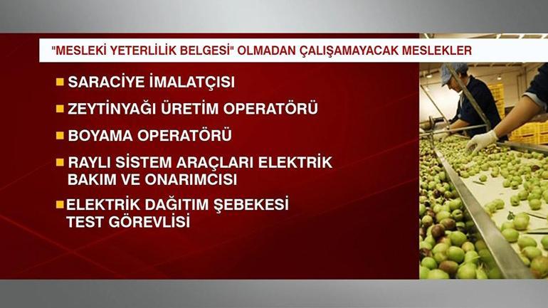 16 meslekte yeterlilik belgesi şartı