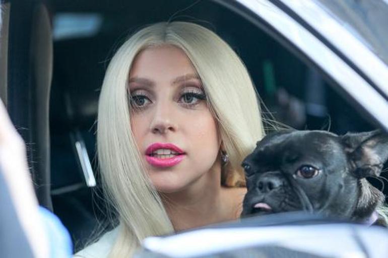 Lady Gaganın köpeklerini kaçıran ve gezdiren kişiyi yaralayan saldırgana 21 yıl hapis