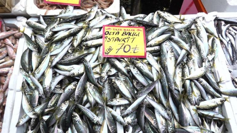 Balık bol mu, fiyatlar ne durumda