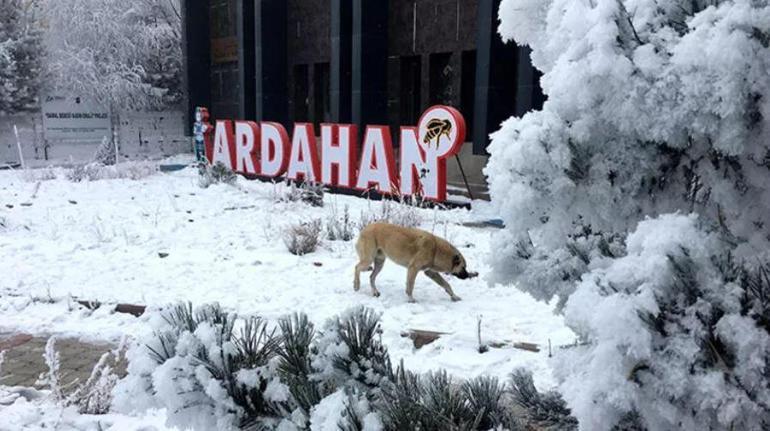 20 kentte alarm verildi Yılbaşında İstanbula kar yağacak mı