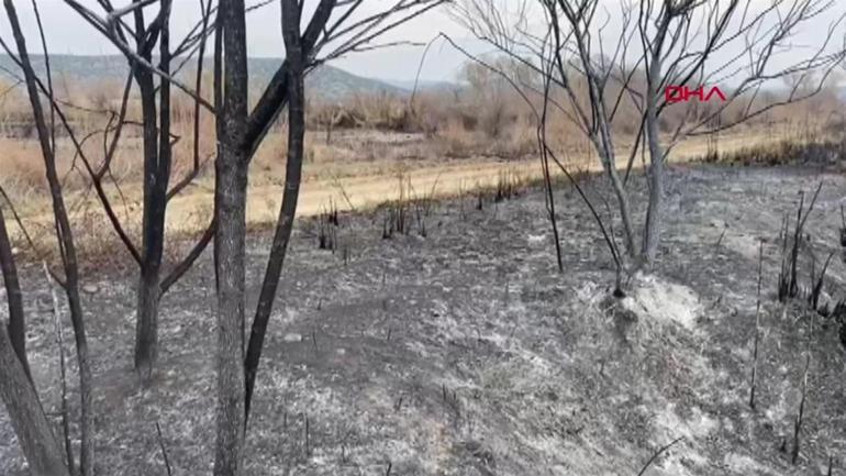 Kuş Cenneti’nde yangın