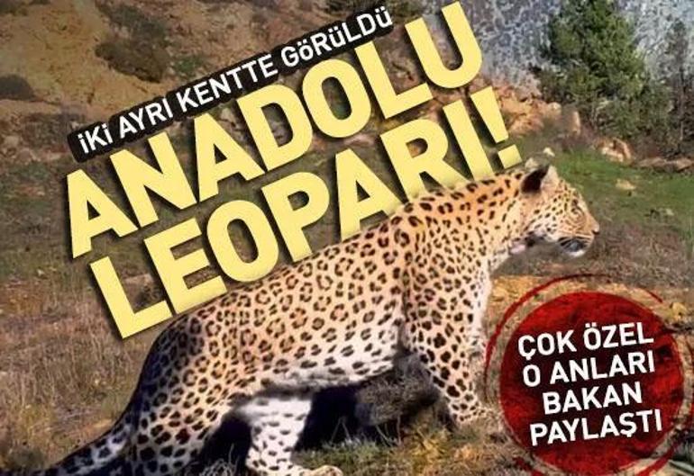 26 Ocak 2023 Perşembe gününün son dakika önemli gelişmeleri (CNN TÜRK 16.30 bülteni)