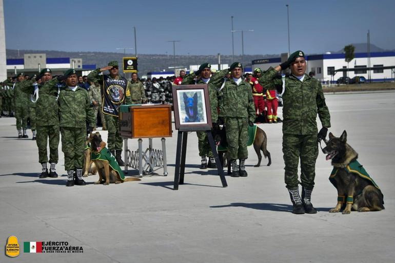 Ölen kurtarma köpeği tabutla Meksikaya götürüldü