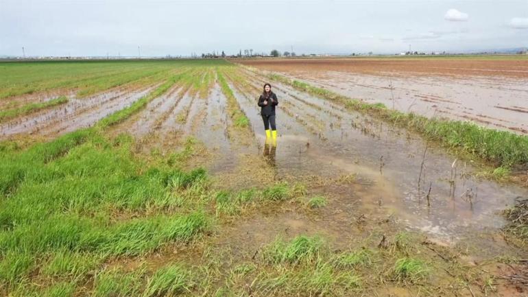 Harran Ovası su altında kaldı Sel felaketinden sonra tarlalar göle döndü