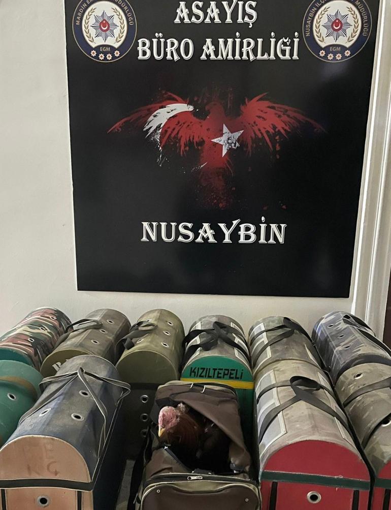 Nusaybinde horoz dövüştüren 38 kişiye 154 bin lira ceza