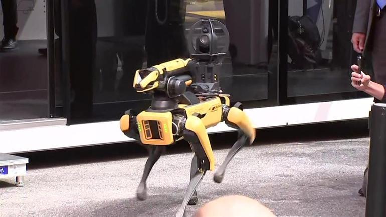 3 robot köpek New York Polis Departmanında