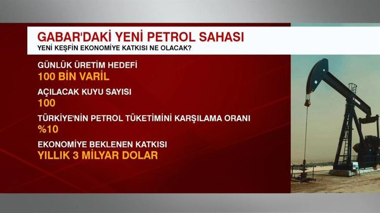 Gabar petrolünün ekonomiye katkısı ne olacak