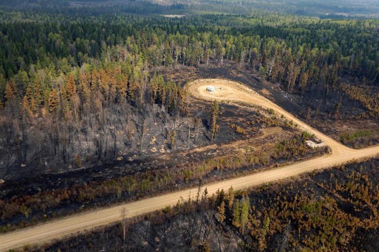 Kanadada orman yangını nedeniyle acil durum ilan edildi