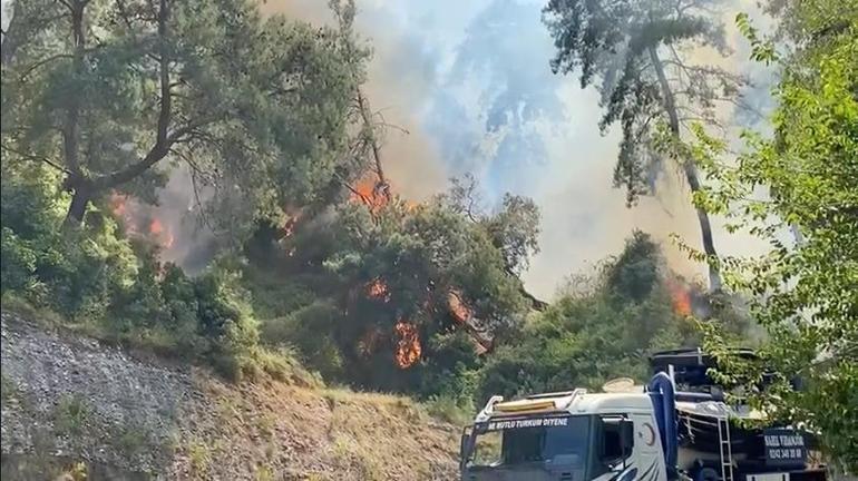 Antalyadaki orman yangını kontrol altına alındı: Soğutma çalışmaları sürüyor