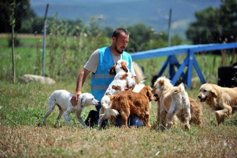 Can dostlar yeni yuvalarını bekliyor